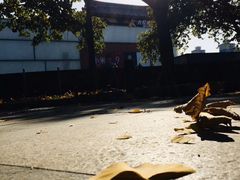 -大雁塔北广场音乐喷泉