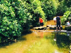 -重庆彩云湖湿地公园