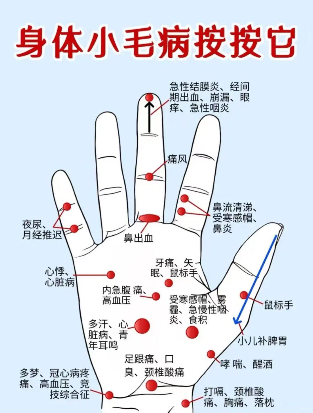 📍手掌面反射区:主要集中在手掌面,与呼