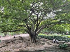 -晓港公园