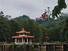 -深圳仙湖植物园