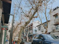 -TonTon(永康路店)