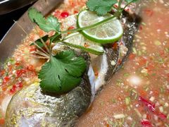 -佬肥猫(国华广场店)