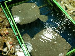 -京贸物联批发市场