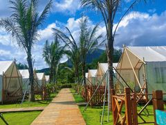 -西涌国际滨海旅游区