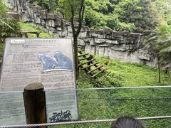 -碧峰峡风景区