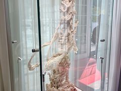 -上海市工艺美术博物馆