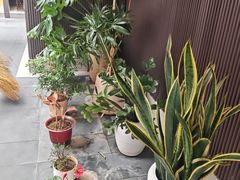 -阿伟海鲜楼·福建菜(涵江店)