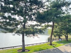 -北坞公园