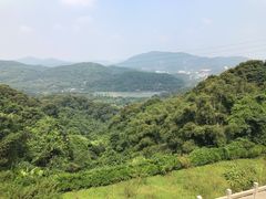 -广州市帽峰山景区