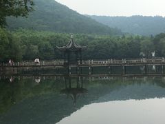 -旺山景区
