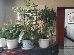 -杨志和泡馍(中山北街1店)