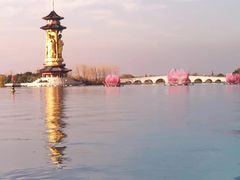 -溱湖国家湿地公园