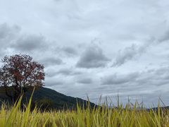 -塔川景区