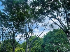 -滴水岩森林公园
