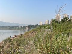 -金海湾滨江公园
