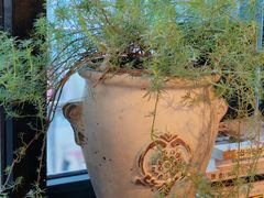 -荒度咖啡(北九水店)