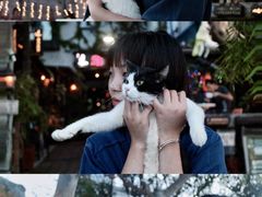 -城墙外BAR