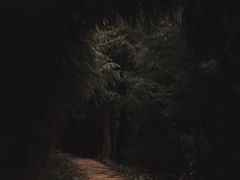-山王坪喀斯特国家生态公园