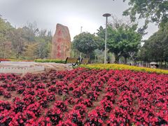 -广东花都湖国家湿地公园