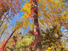 -水上乐园·欢乐世界