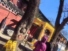 -红螺寺