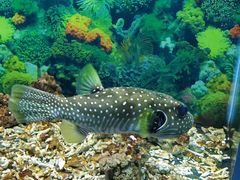 -泉州海丝野生动物世界