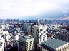-东京都厅舍