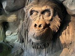 -奥兰多迪士尼动物王国乐园