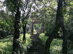 -杭州半山国家森林公园