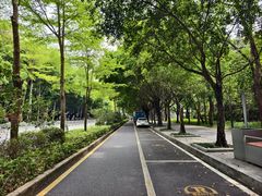 -深圳龙潭公园