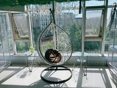 -喵百万·布偶·蓝金金渐层英短·猫舍(百子湾店)