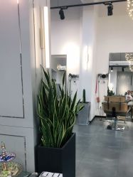 -FUTURE HN男士发型风格设计