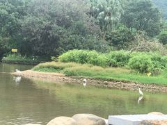 -深圳仙湖植物园-停车场