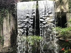 -青青世界