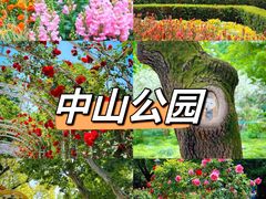 -外滩8号 whisky bar(金延大厦店)