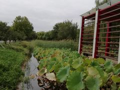 -石家庄市植物园
