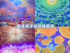 -海合安天津极地海洋公园