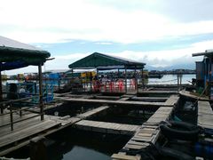 -海上驿站渔家菜馆