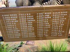 -陕西自然博物馆