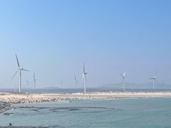 -长江澳风力发电景观区