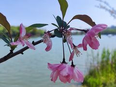 -昆山城市生态森林公园