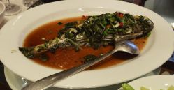 -上海金茂君悦大酒店·宴会厅