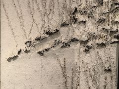 -浙江西湖美术馆