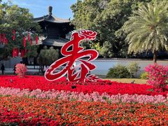 -荔湾湖公园