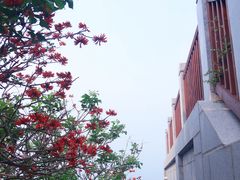 -东山风动石景区