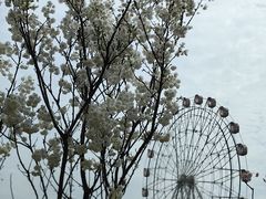 -观澜湖生态运动公社