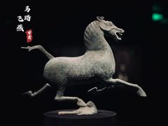 -甘肃省博物馆