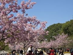 -新江湾城公园