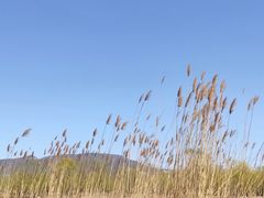 -门城湖公园